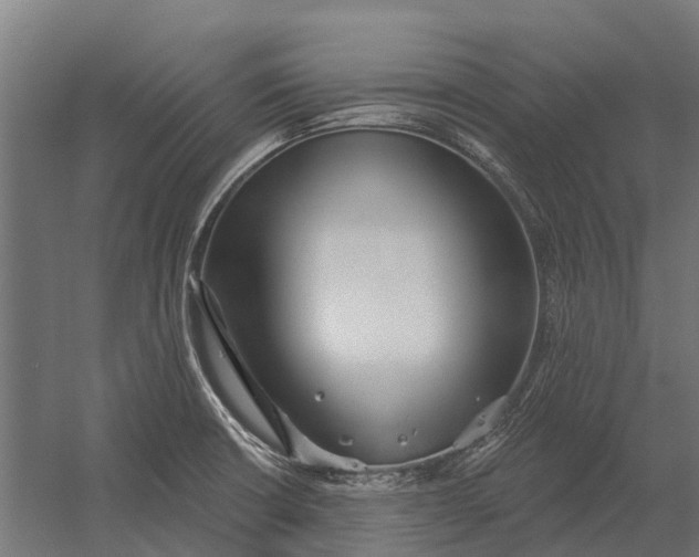 X0000052941426200507300006