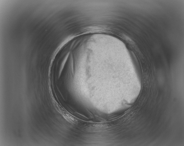 X0000052941427200507300006