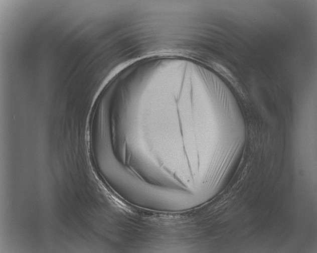 X0000052941428200507300006