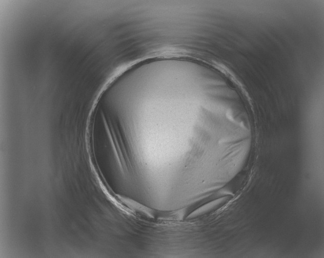 X0000052941429200507300006