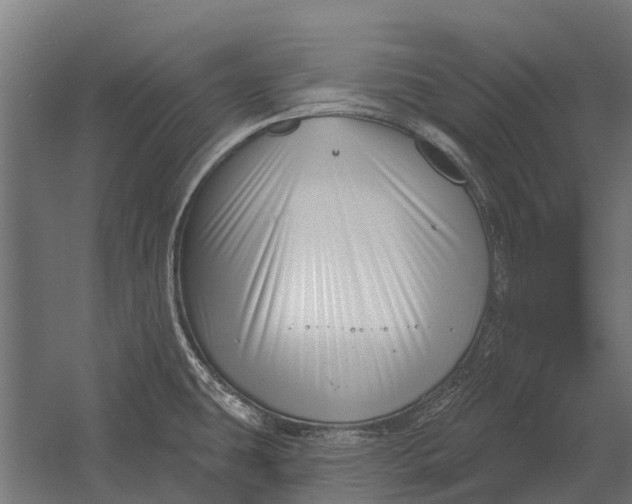 X0000052941431200507300006