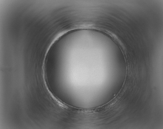 X0000052941432200507300006