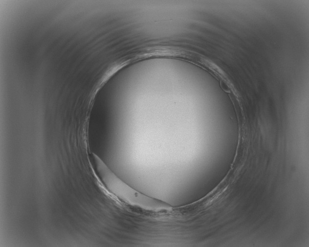 X0000052941433200507300006