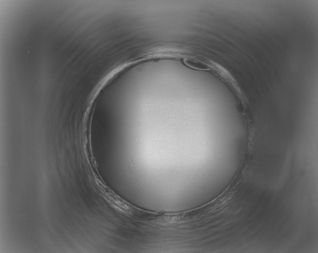 X0000052941435200507300007