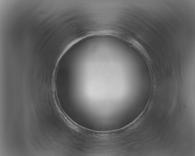 X0000052941436200507300007