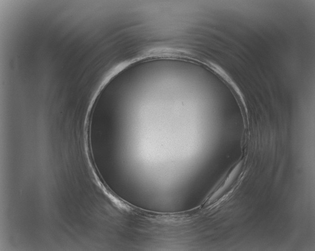 X0000052941437200507300007