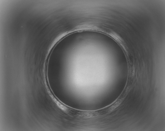 X0000052941438200507300007