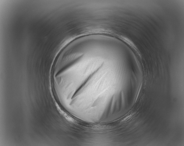 X0000052941439200507300007