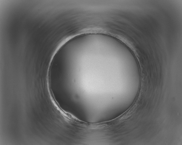 X0000052941440200507300007