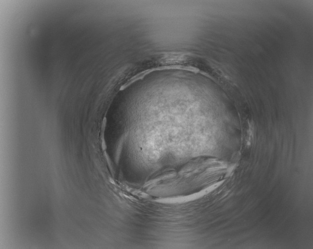 X0000052941441200507300006