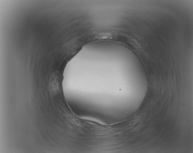 X0000052941442200507300006