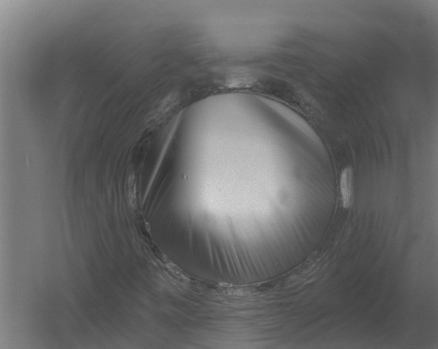 X0000052941443200507300006