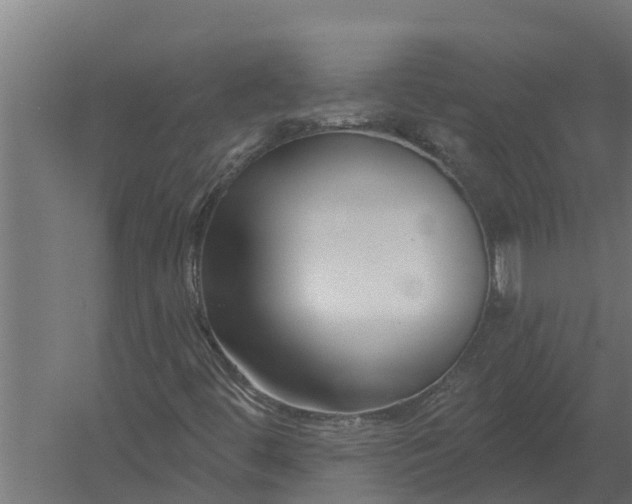 X0000052941444200507300006