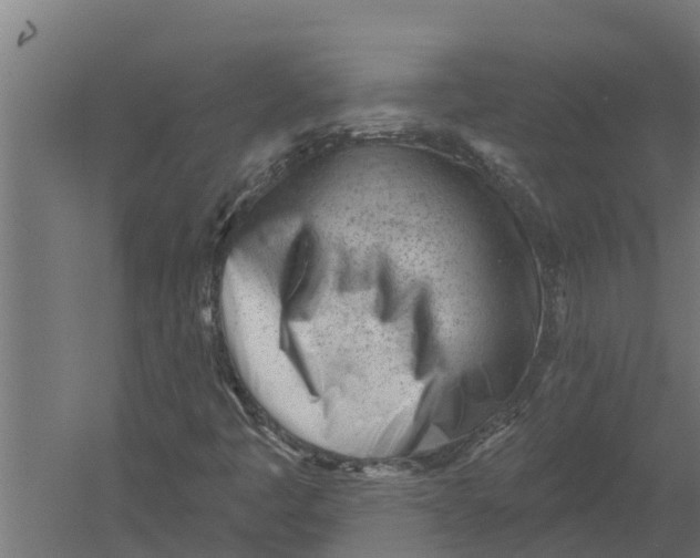 X0000052941445200507300006