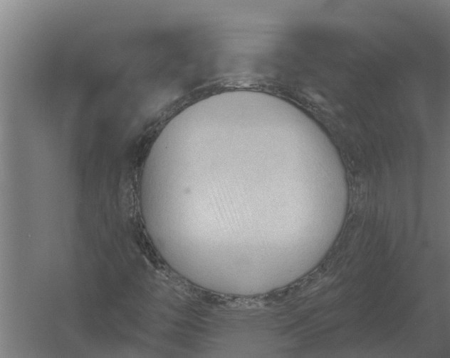 X0000052941446200507300006