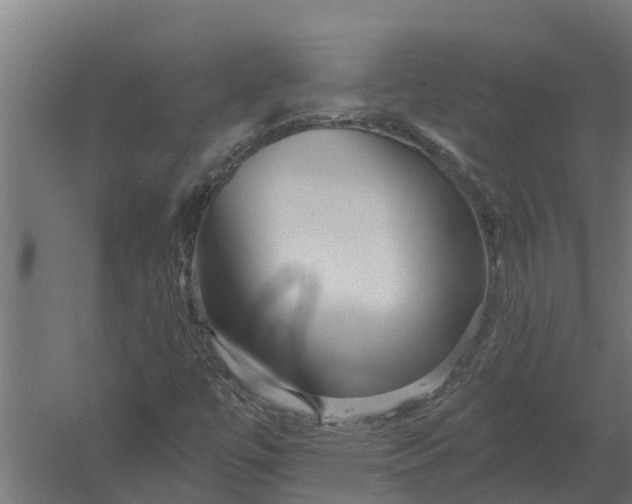 X0000052941447200507300006