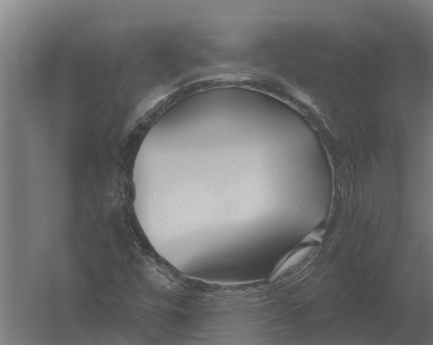 X0000052941448200507300006