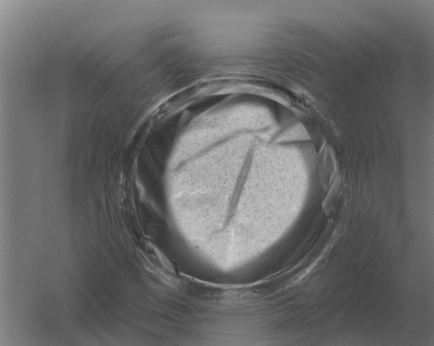 X0000052941449200507300006