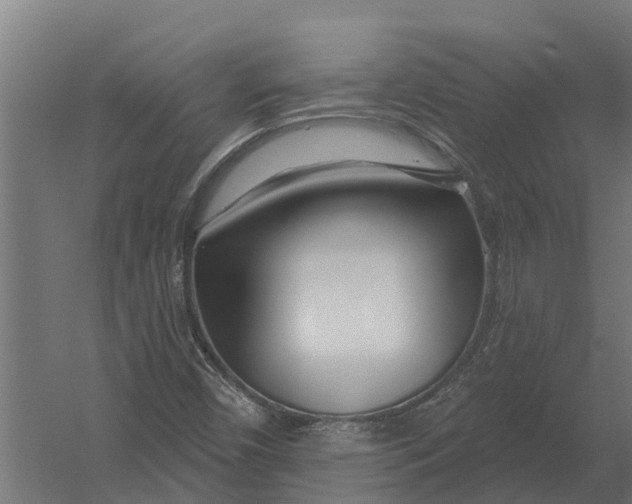 X0000052941450200507300006