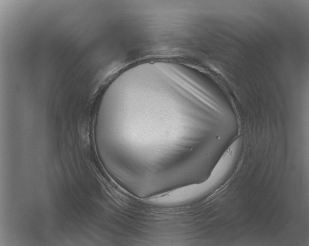 X0000052941451200507300006