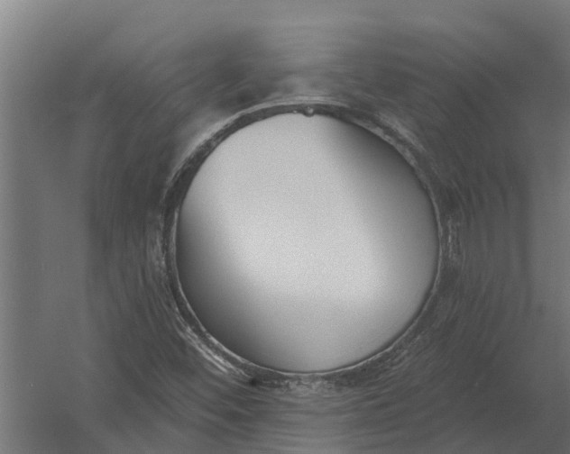 X0000052941452200507300006