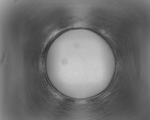 X0000052941454200507300006