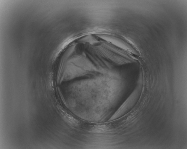 X0000052941455200507300006