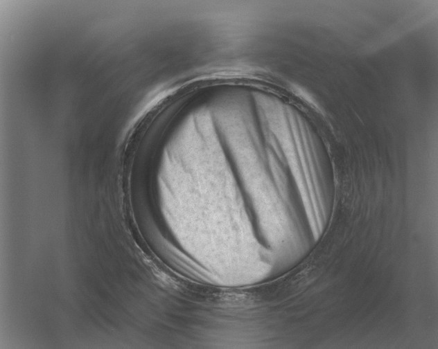 X0000052941456200507300006