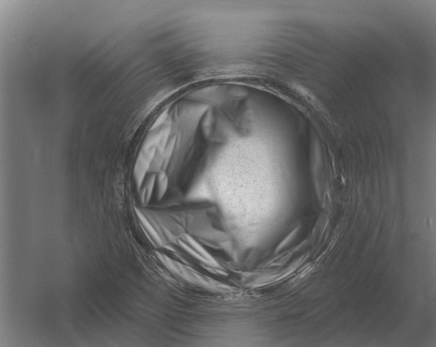 X0000052941457200507300006