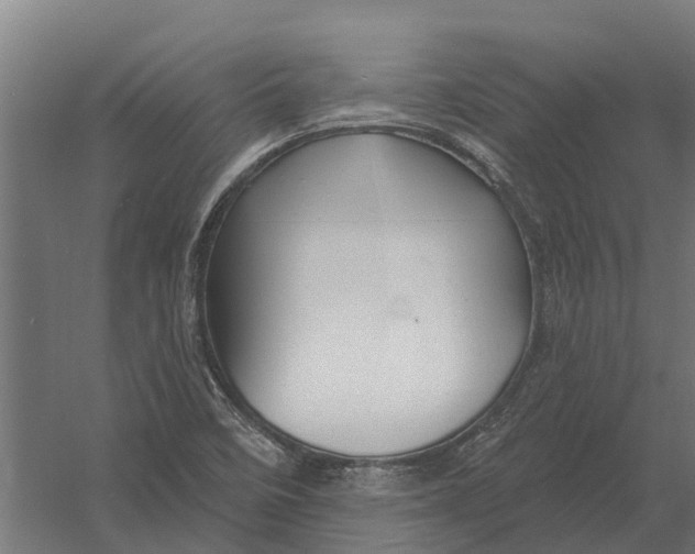 X0000052941458200507300005