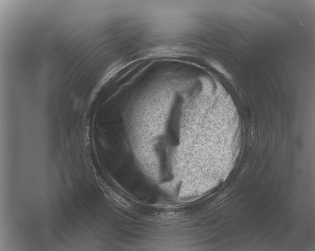 X0000052941459200507300005