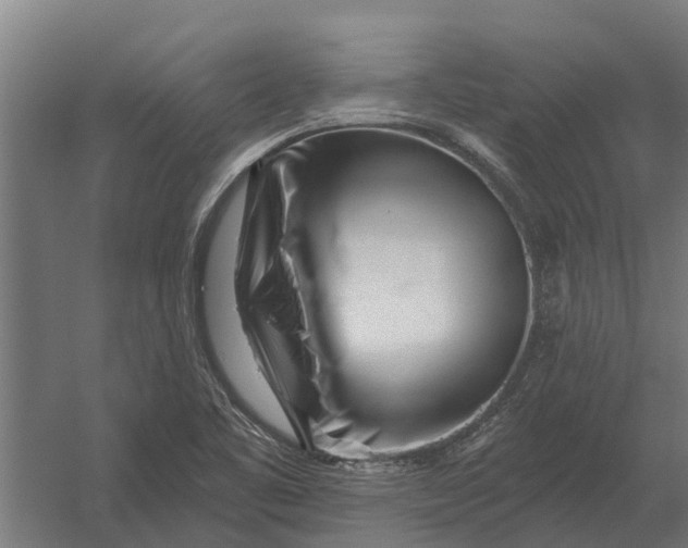 X0000052941461200507300005