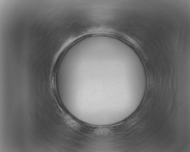 X0000052941462200507300005