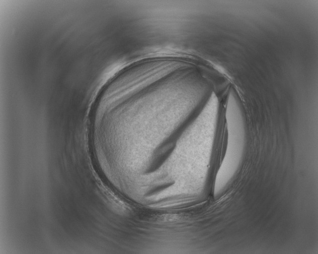 X0000052941463200507300005