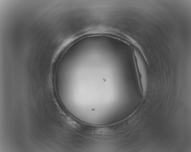 X0000052941464200507300005