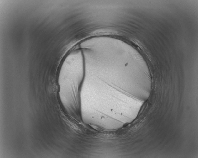 X0000052941465200507300005