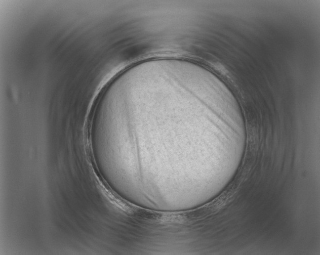 X0000052941466200507300005