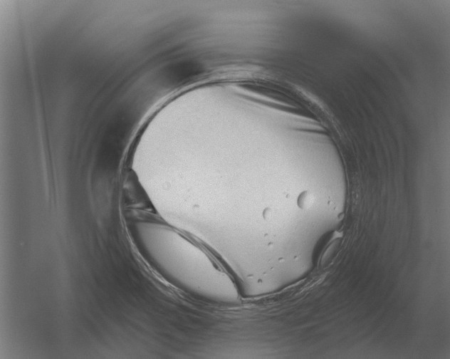 X0000052941467200507300005