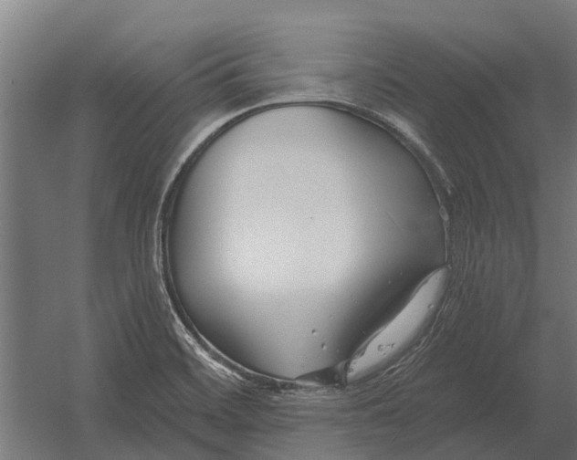 X0000052941468200507300005