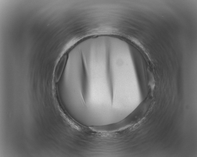 X0000052941469200507300005