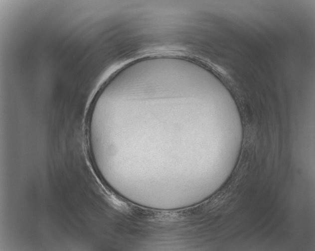 X0000052941470200507300005