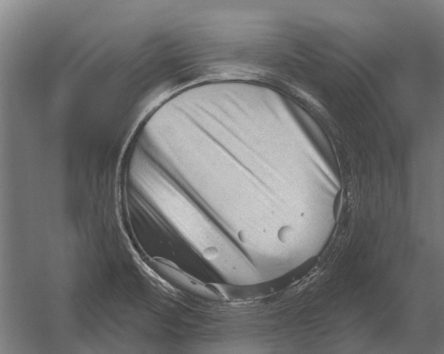 X0000052941471200507300005