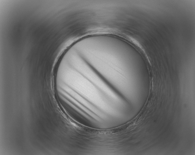 X0000052941472200507300005