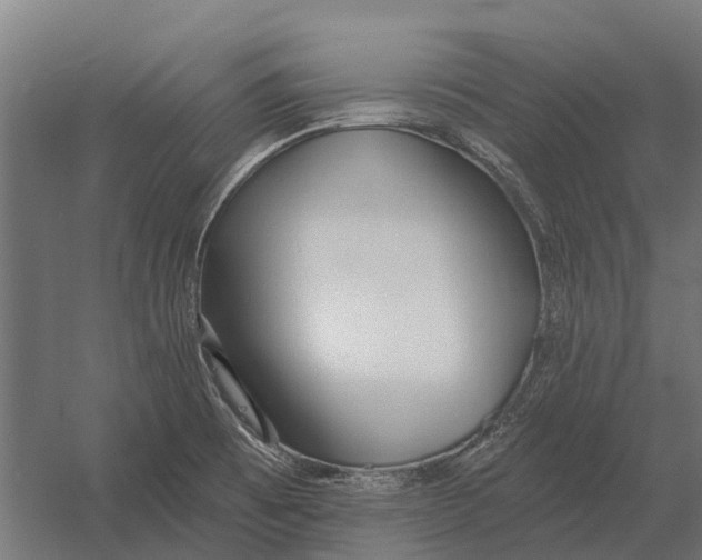 X0000052941473200507300005