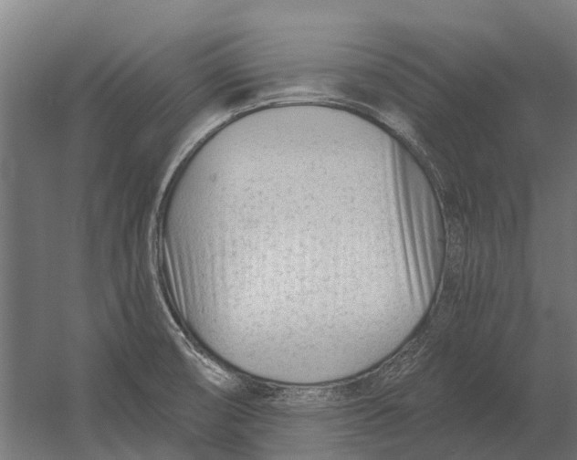 X0000052941474200507300005