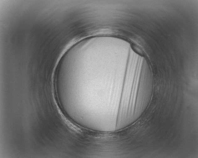 X0000052941475200507300005