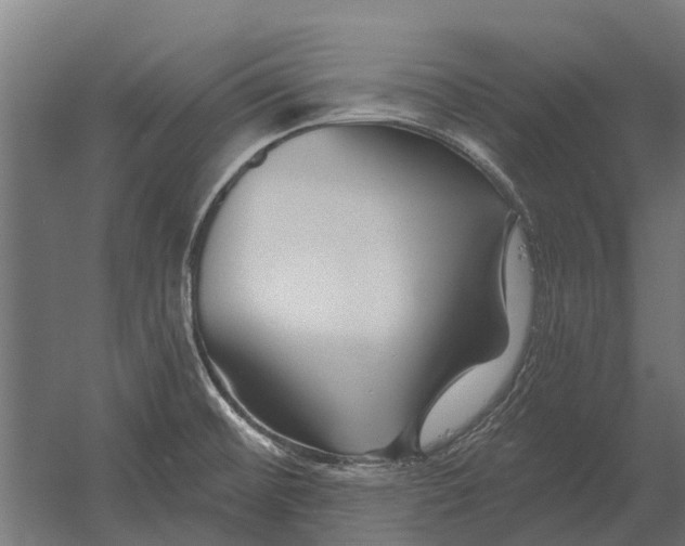 X0000052941476200507300005