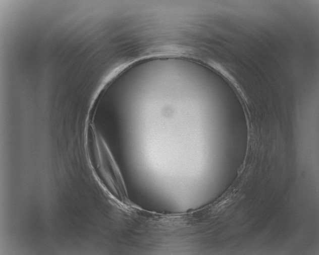 X0000052941477200507300005