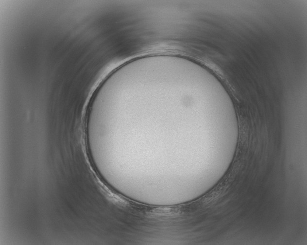 X0000052941478200507300005