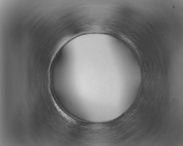 X0000052941479200507300005